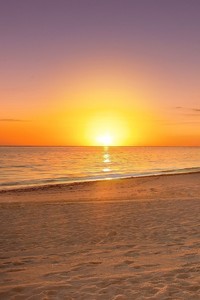 澳大利亚男篮连胜，傲视群雄