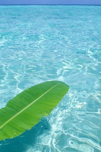 伦敦城放手一搏，卧虎藏龙稳扎稳打