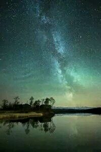 卡迪夫城主帅放言升级目标，全力争取联赛前列