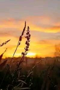 大连输给青岛，无缘季后赛：告别与新生