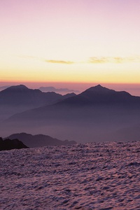 美国田径选手突飞猛进，奋力争夺冠军