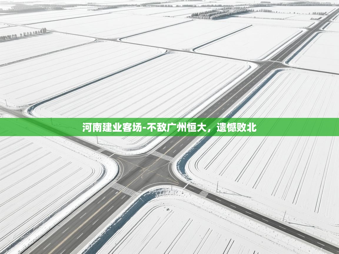 河南建业客场-不敌广州恒大,遗憾败北 第2张