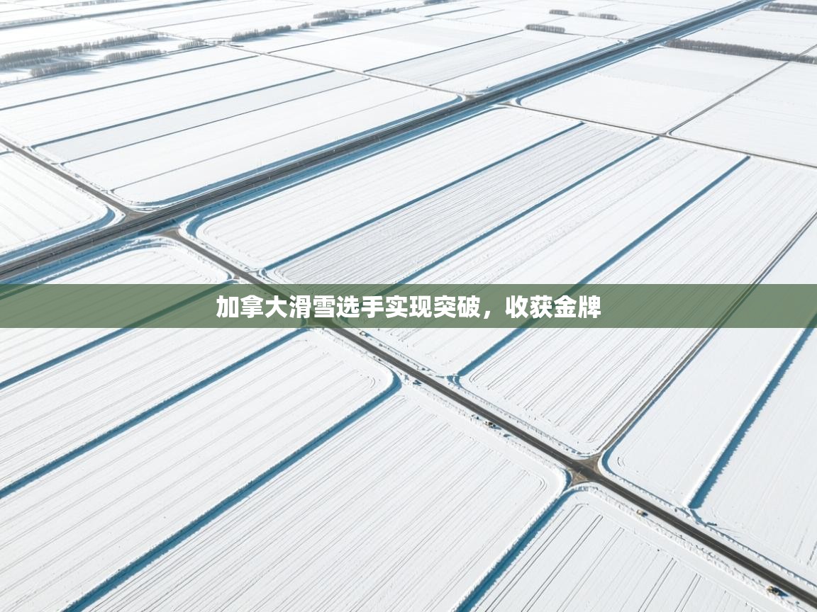 加拿大滑雪选手实现突破,收获金牌 第2张